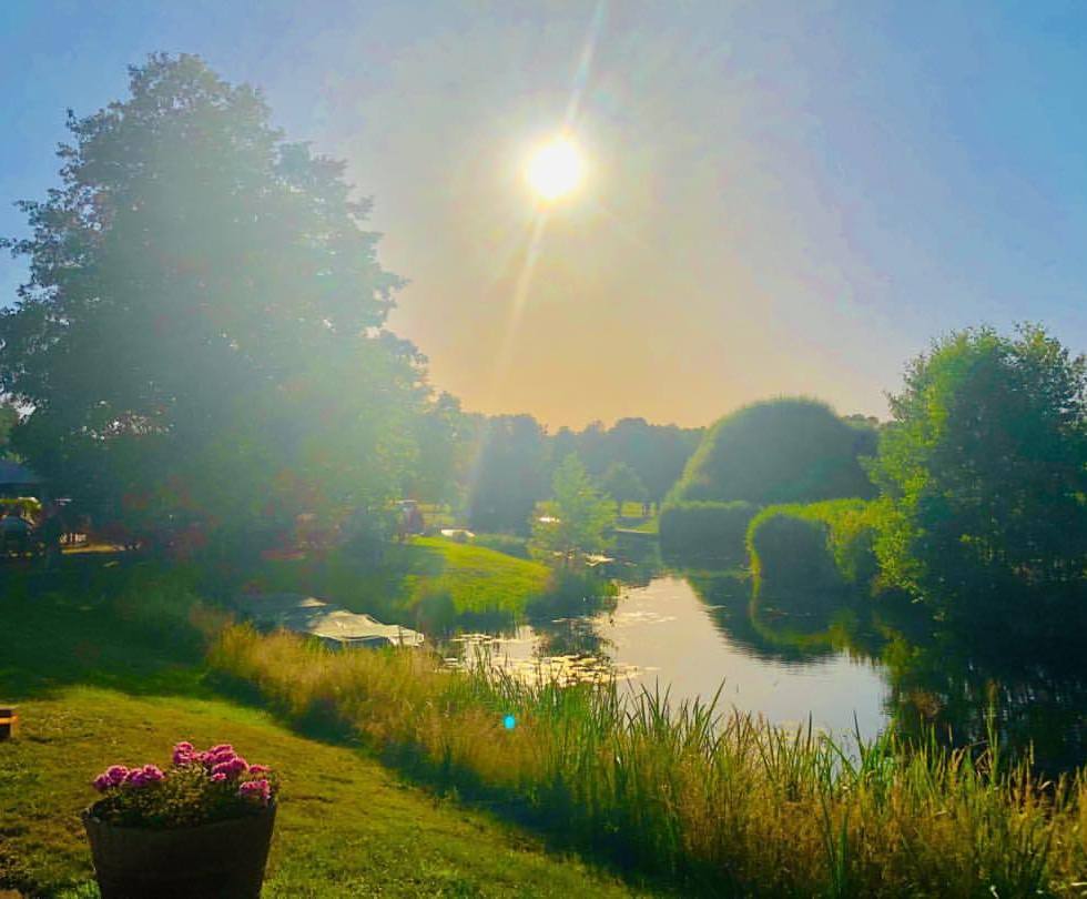 Heat - by Helmut Hoffer von Ankershoffen