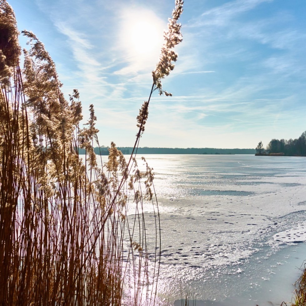 Frozen nature - by Helmut Hoffer von Ankershoffen
