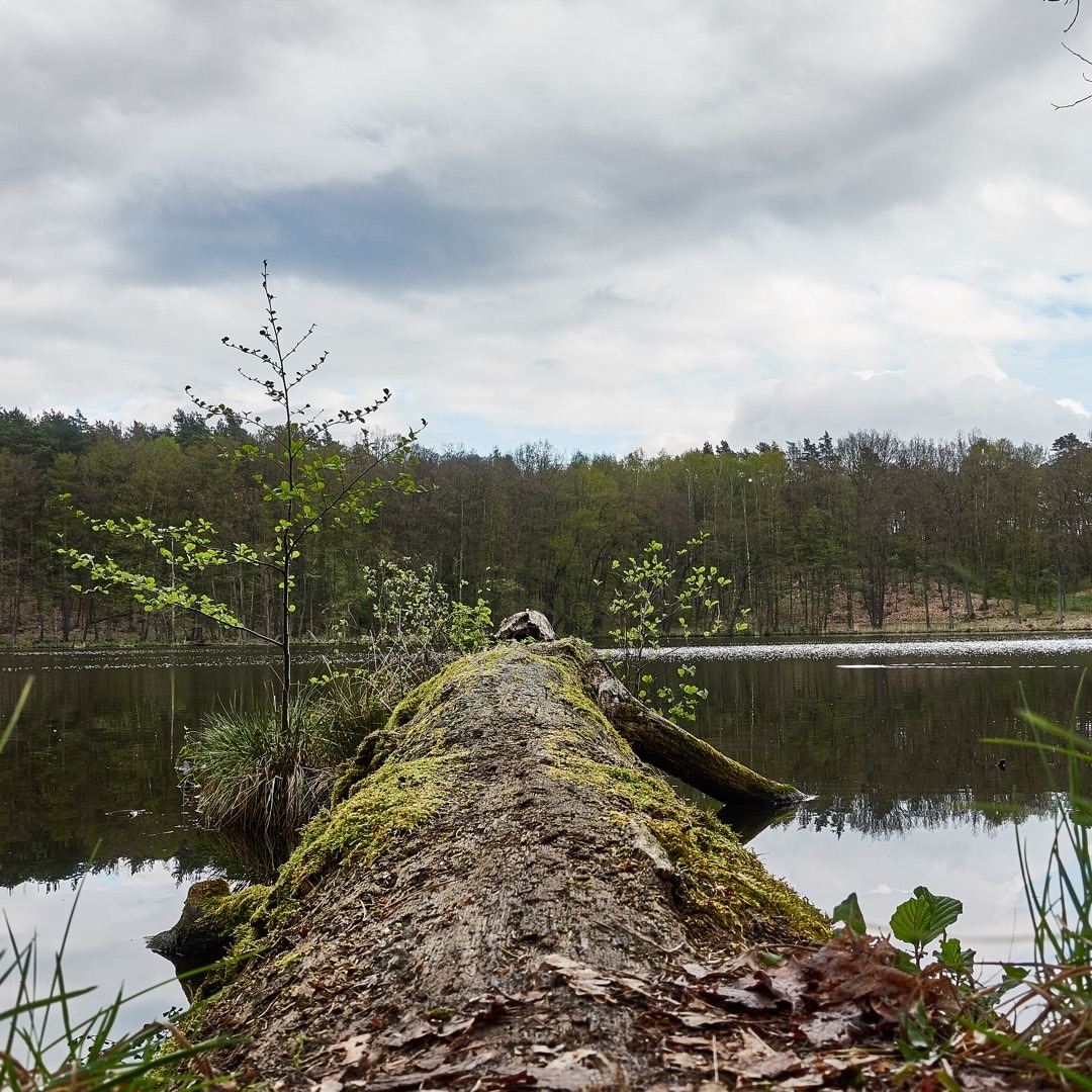 The bridge - by Helmut Hoffer von Ankershoffen