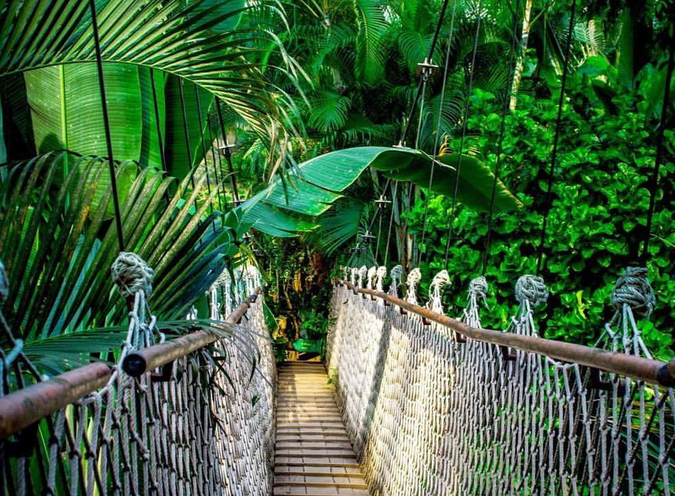 On my way - by Helmut Hoffer von Ankershoffen