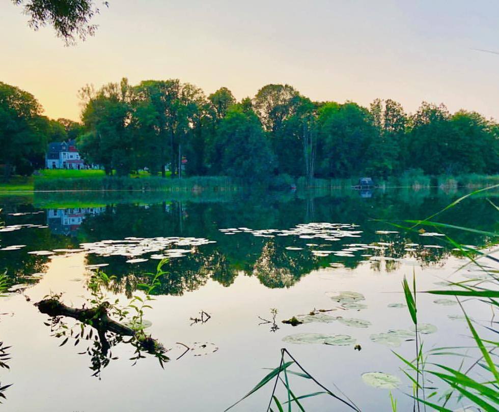 Beautiful lake - by Helmut Hoffer von Ankershoffen