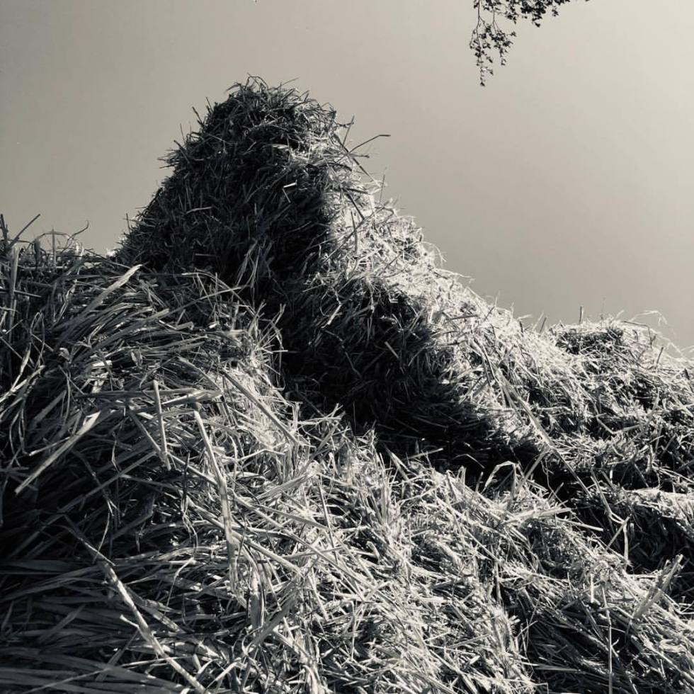 Supply - by Helmut Hoffer von Ankershoffen