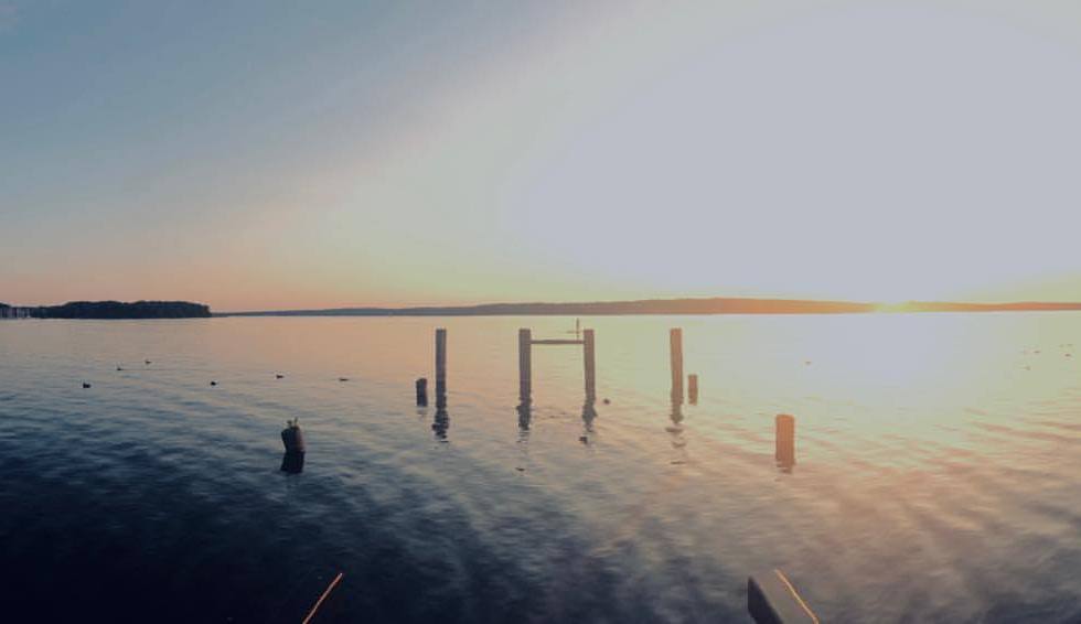 Vertical lines - by Helmut Hoffer von Ankershoffen